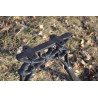 AA205 - Gambe per panche (1 coppia)
