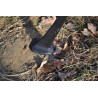 AA207 - Gambe per panche (1 coppia)