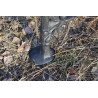 AA214 - Gambe per panche (1 coppia)