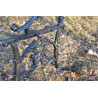 AA216 - Gambe per panche (1 coppia)