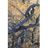 AA216 - Gambe per panche (1 coppia)