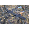 AA217 - Gambe per panche (1 coppia)